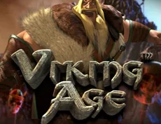 Viking Age