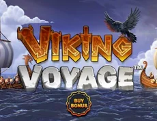 Viking Voyage
