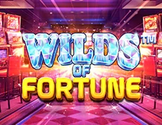 Wilds Of Fortune