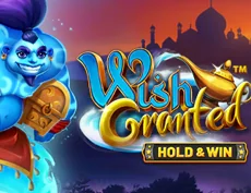 Wish Granted