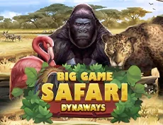 Big Game Safari