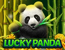 Lucky Panda