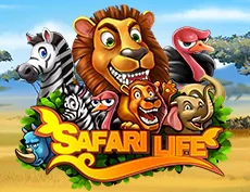 Safari Life