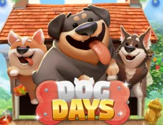 Dog Days