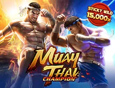 Muay Thai Champion