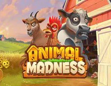 Animal Madness