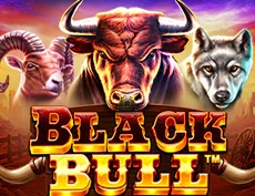 Black Bull