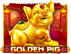 Golden Pig