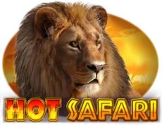 Hot Safari