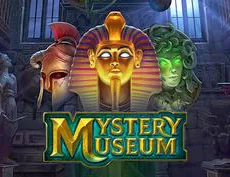 Mystery Museum