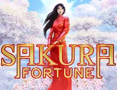 Sakura Fortune