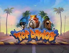 Top Dawg$